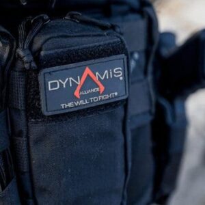 dynamis alliance patch